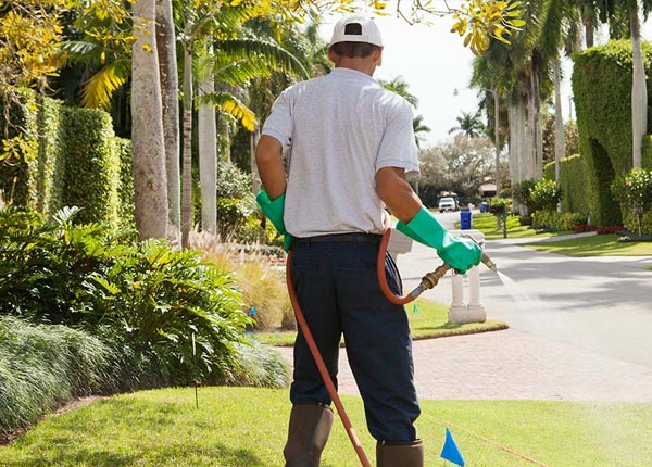 About Guyton GA Pest Control Pros